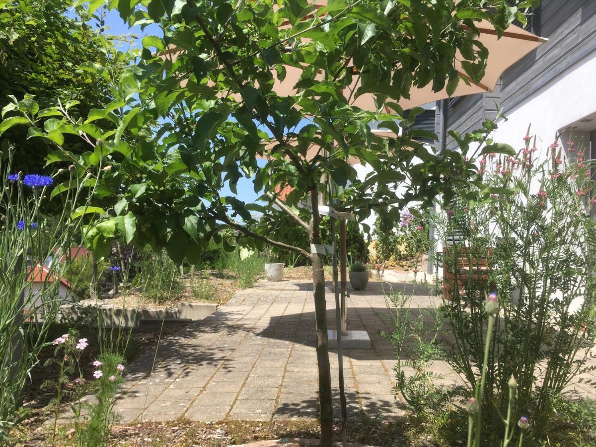 Sweetsuites 40A Lavendelhaus Mühlhausen Kültér fotó