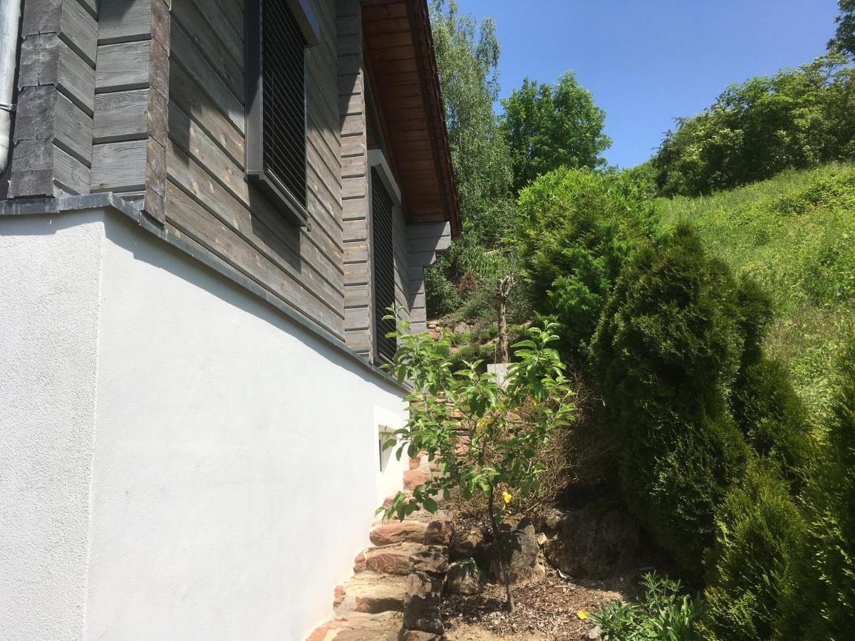 Sweetsuites 40A Lavendelhaus Mühlhausen Kültér fotó