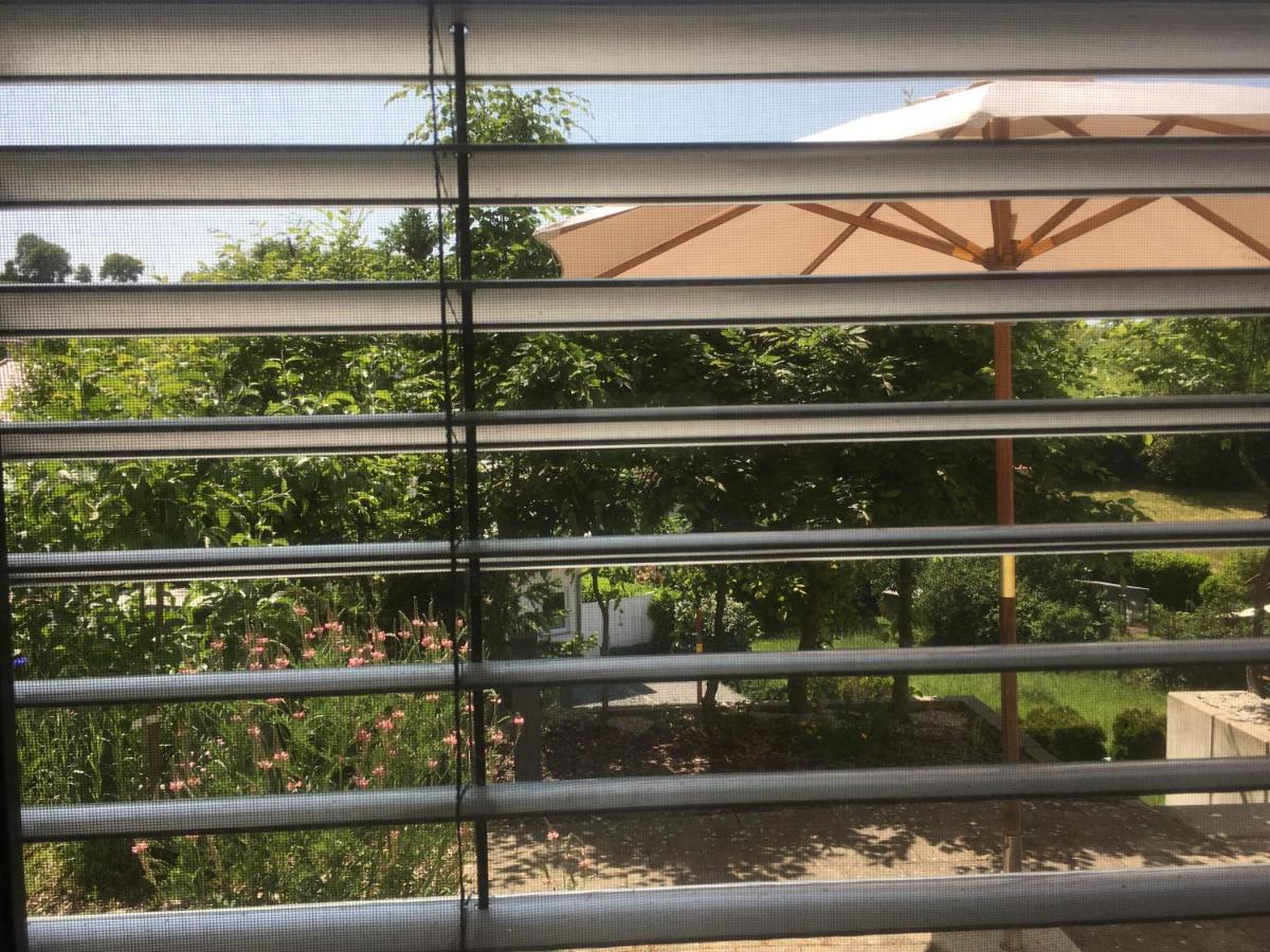Sweetsuites 40A Lavendelhaus Mühlhausen Kültér fotó